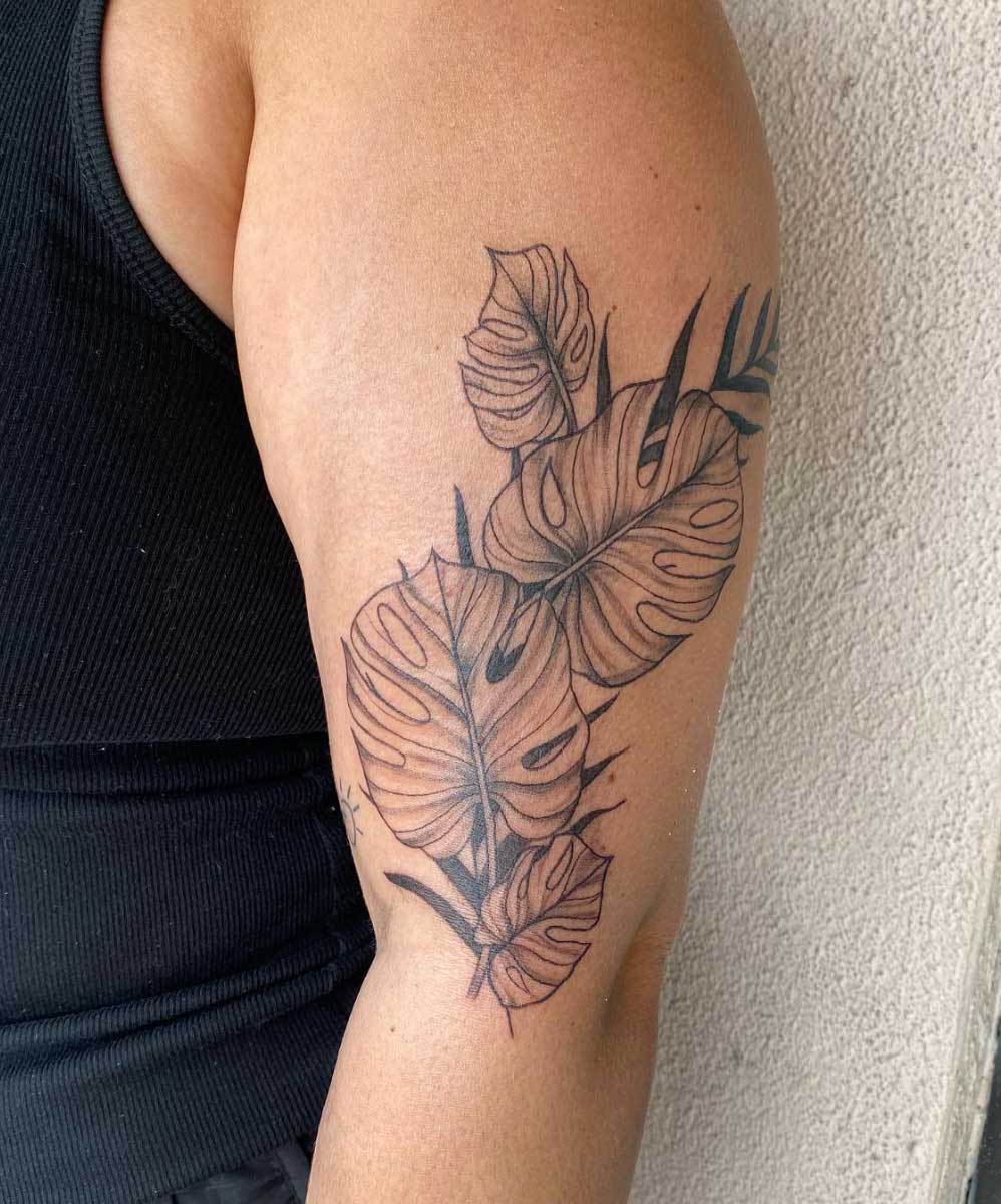Ginkgo Leaf Temporary Tattoo - Set of 3 – Little Tattoos