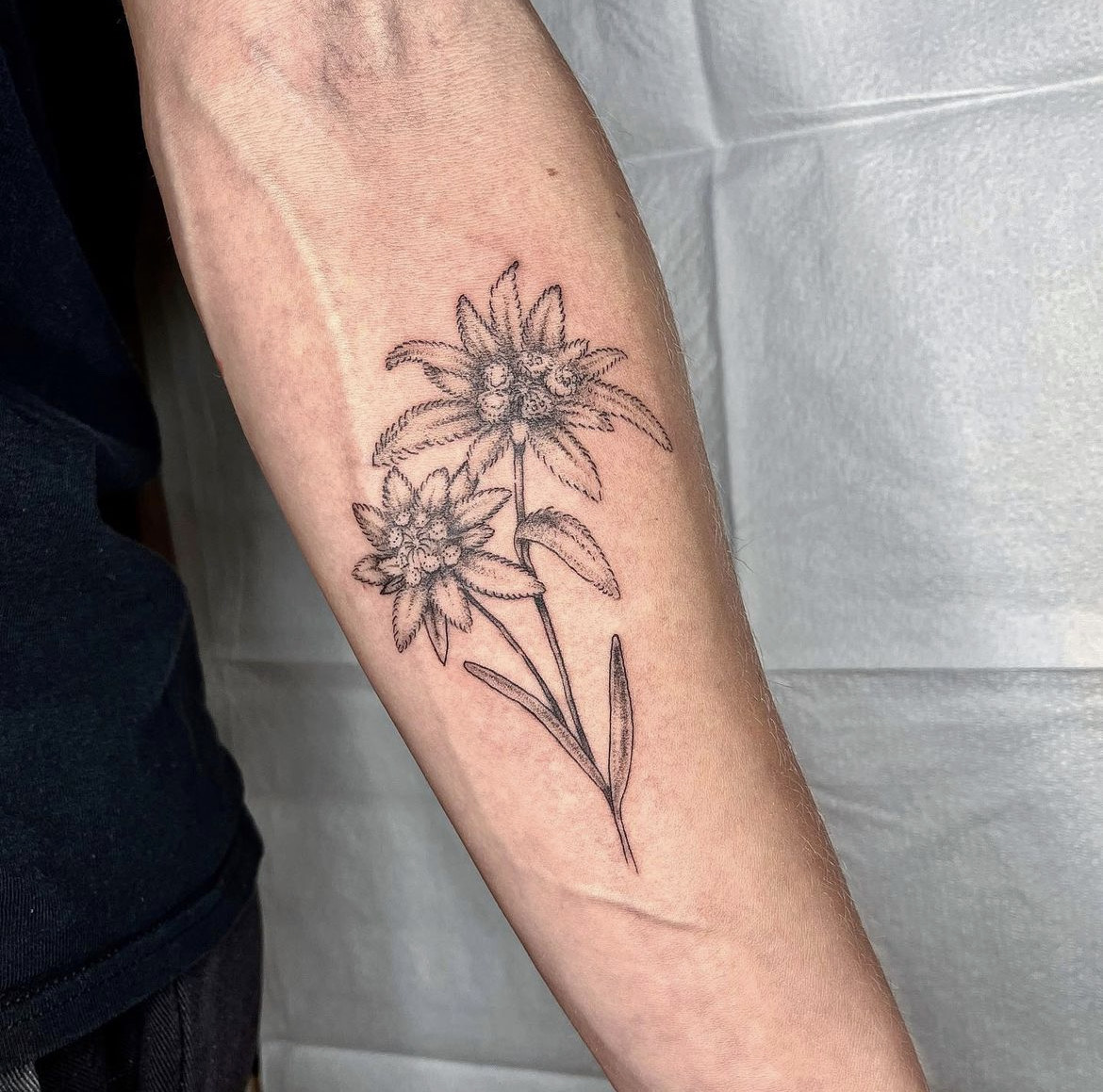 kirsten makes tattoos  Tattoos Shoulder tattoo Trendy tattoos